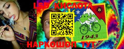 СК Краснодар