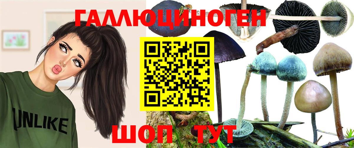 Псилоцибиновые грибы Psilocybe  Вход с VPN  Югорск  Псилоцибиновые грибы Magic Shrooms 